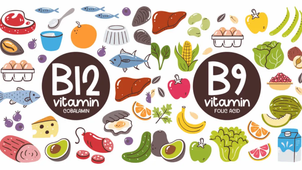 Vitamin B12 và folate 